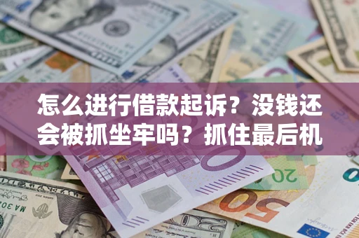 北京怎么进行借款起诉？没钱还会被抓坐牢吗？抓住最后机会！