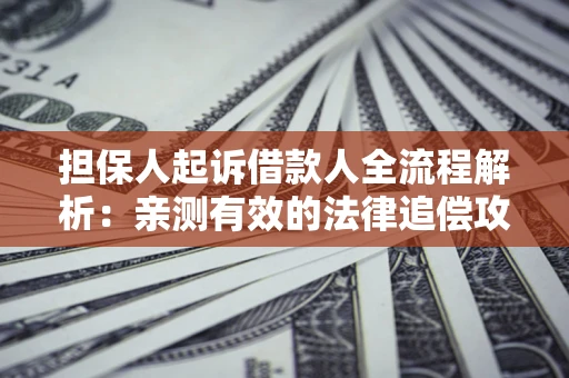 北京担保人起诉借款人全流程解析：亲测有效的法律追偿攻略